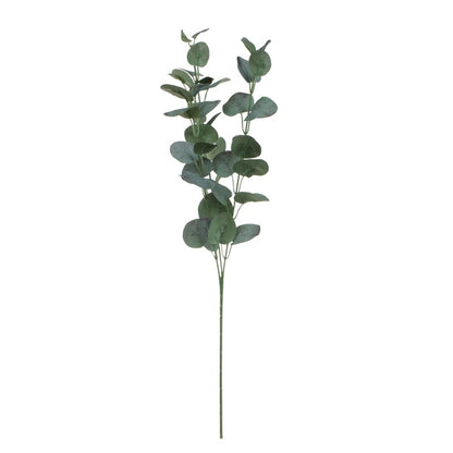 Värilajitelma eukalyptus – koristeoksa, 70 cm