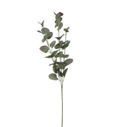 Värilajitelma eukalyptus – koristeoksa, 70 cm