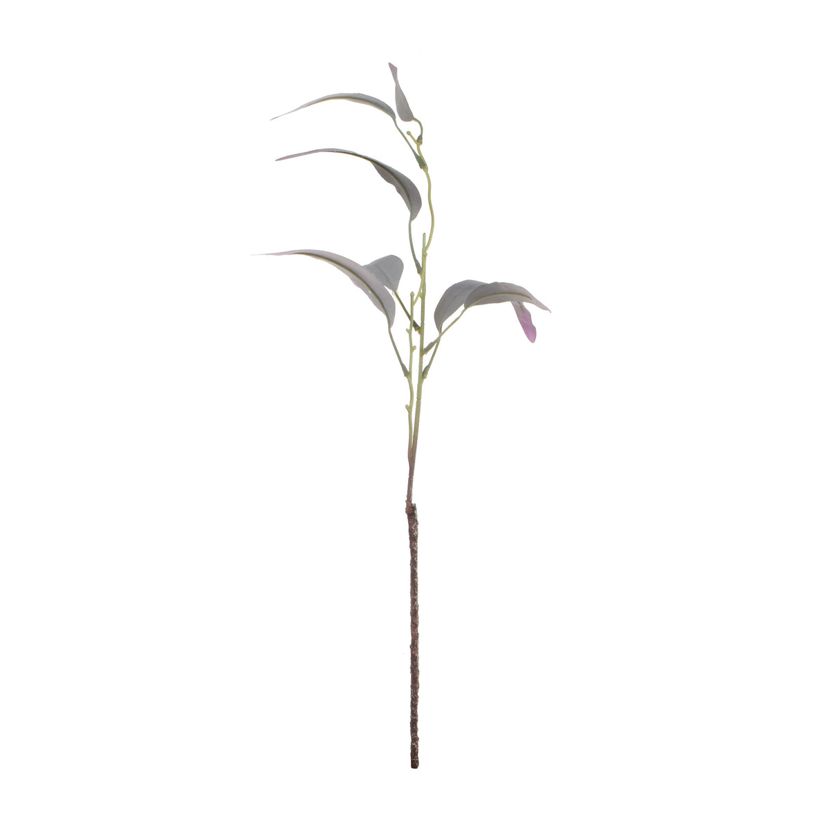 Värilajitelma koristeoksa, 60 cm