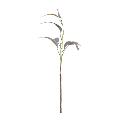 Värilajitelma koristeoksa, 60 cm