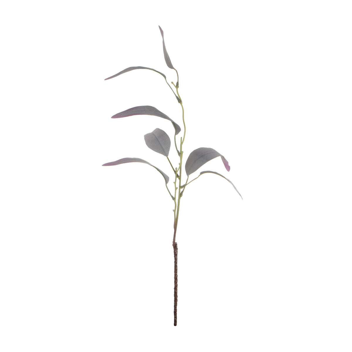Värilajitelma koristeoksa, 60 cm