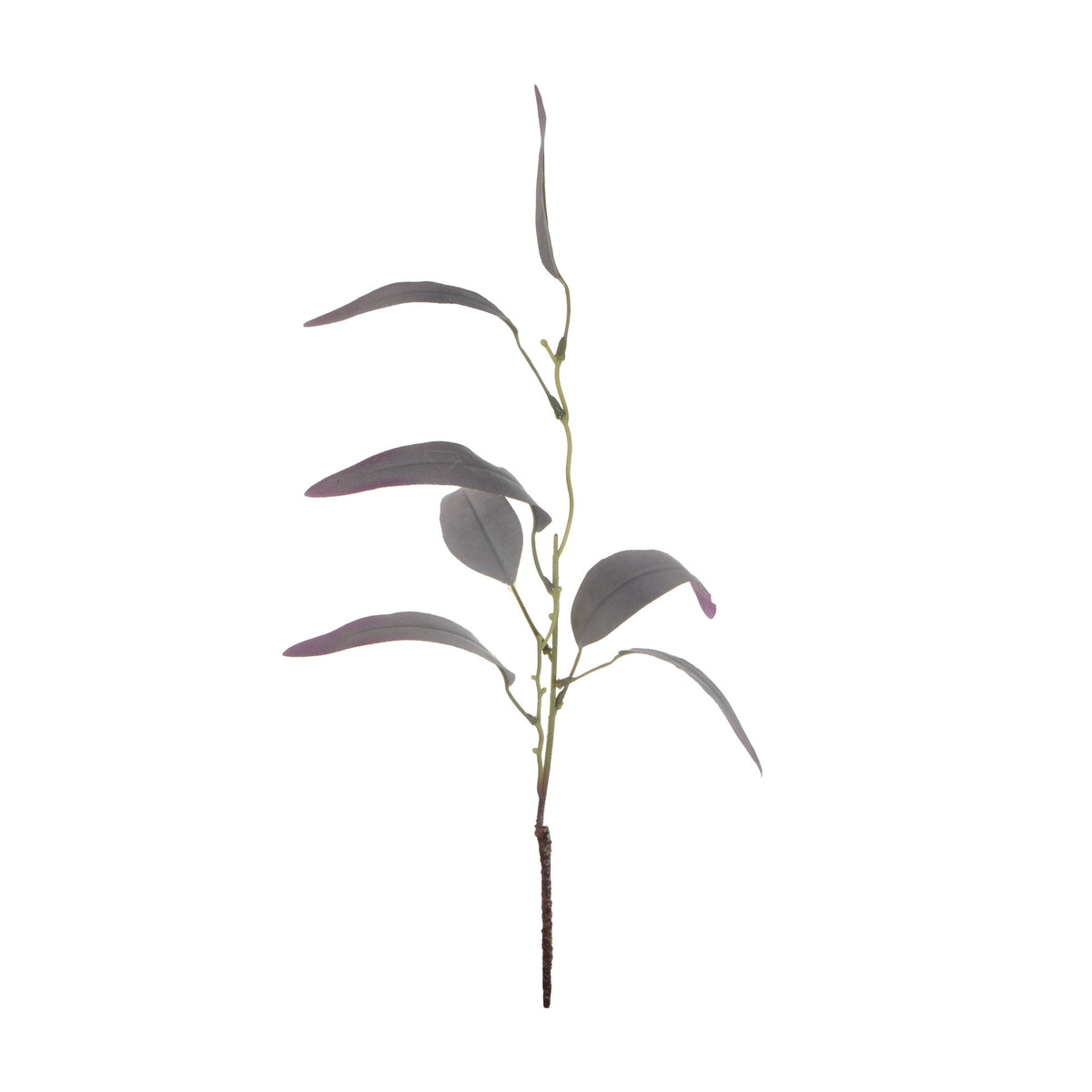 Värilajitelma koristeoksa, 60 cm