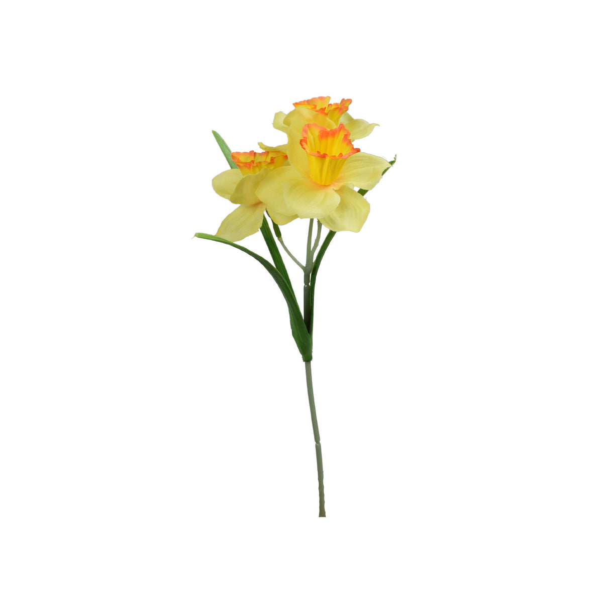 Värilajitelma tekonarsissin kukkavarsi, 35 cm
