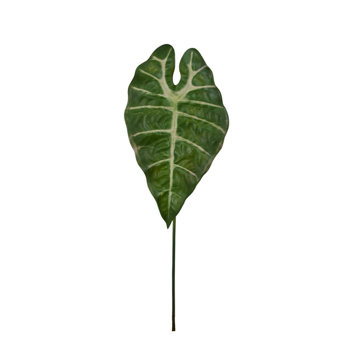 Vihreä alokasia – tekolehti, 60 cm