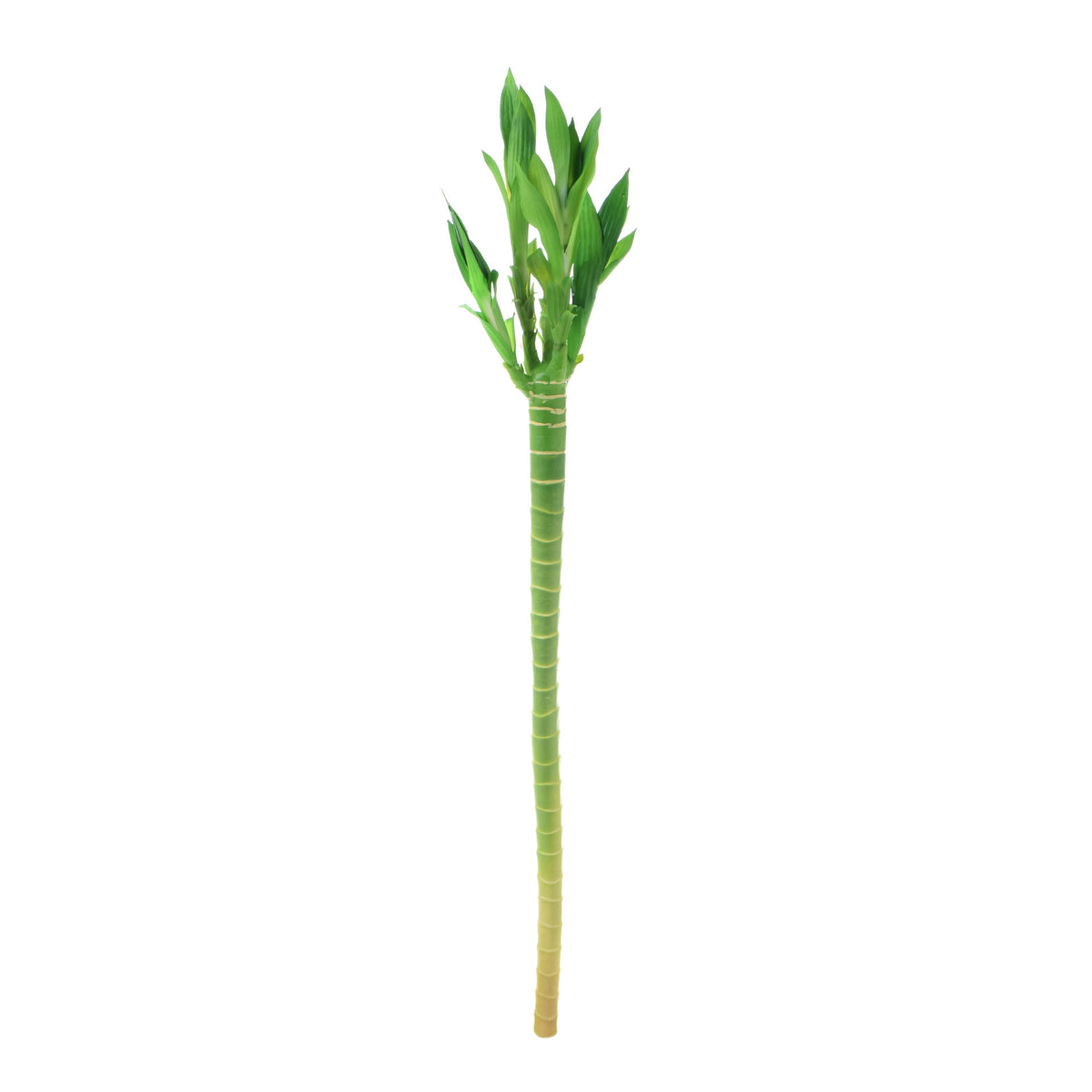 Vihreä bambu – koristeoksa, 72 cm