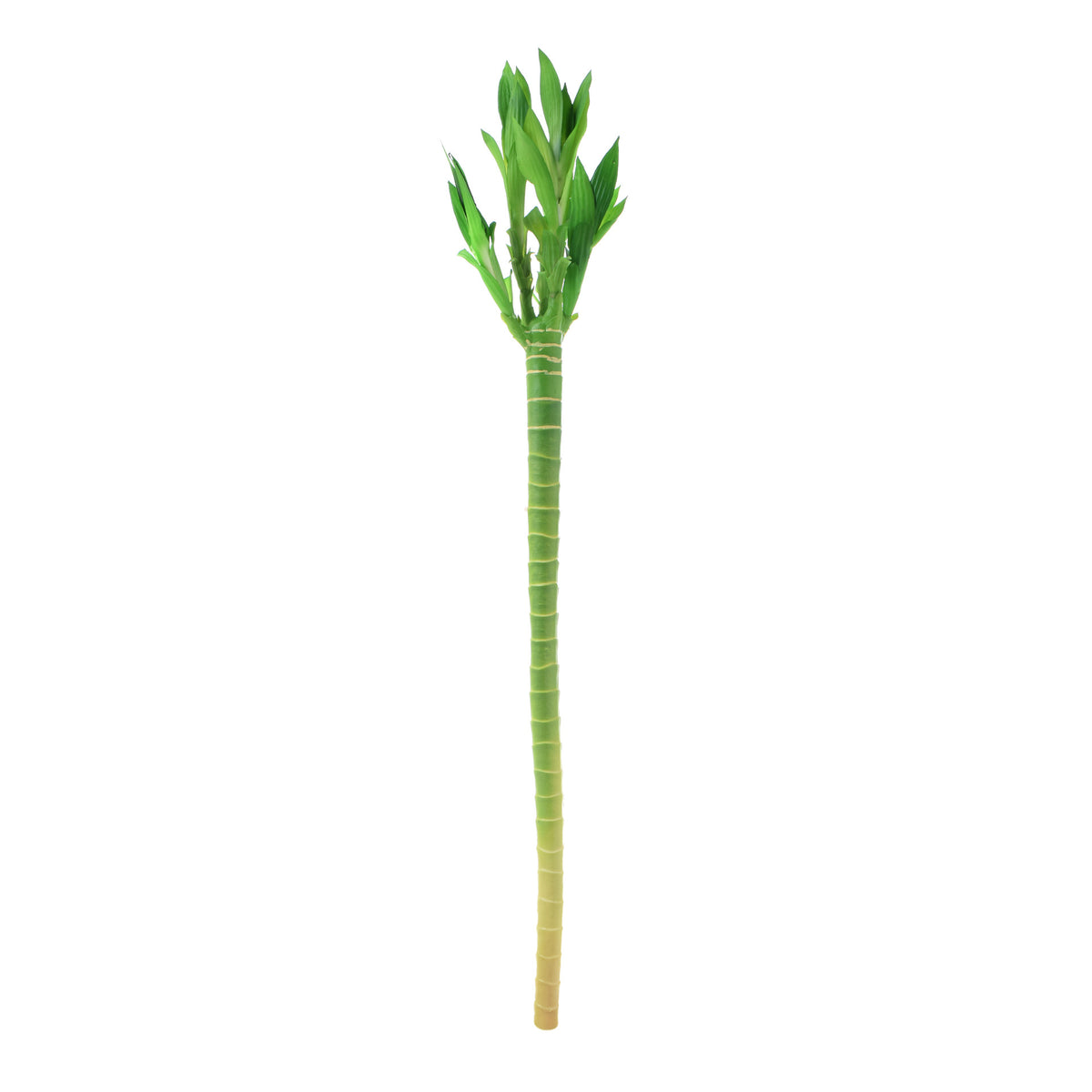Vihreä bambu – koristeoksa, 72 cm