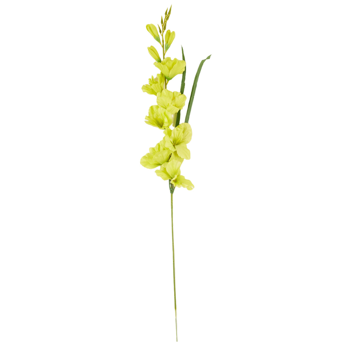 Vihreä gladiolus – tekokukka