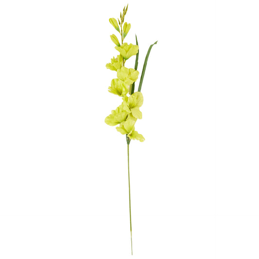 Vihreä gladiolus – tekokukka