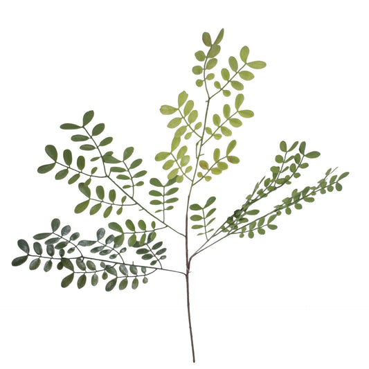 Vihreä koristeoksa, 96 cm