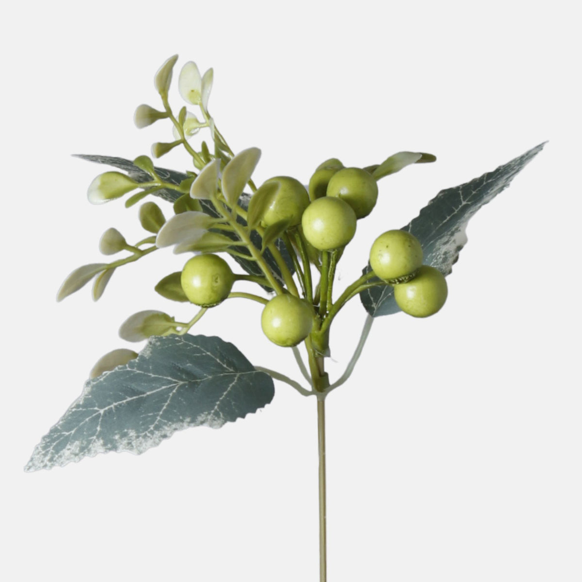 Vihreä puksipensas – koristeoksa, 40 cm