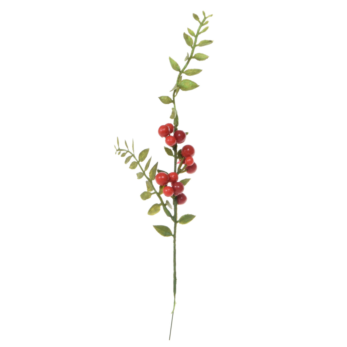 Vihreä/punainen puksipensas – koristeoksa, 26 cm