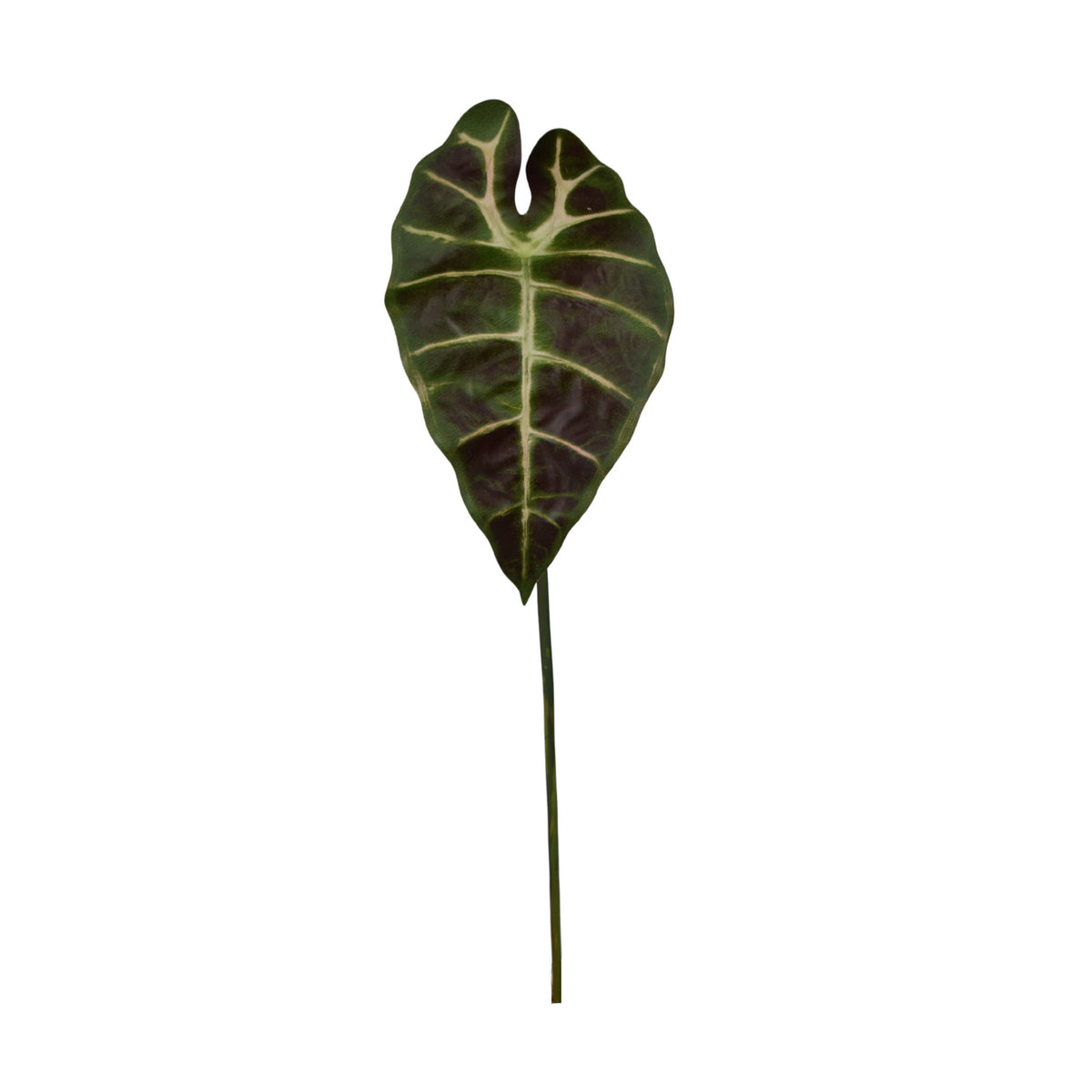 Vihreä/ruskea alokasia – tekolehti, 60 cm