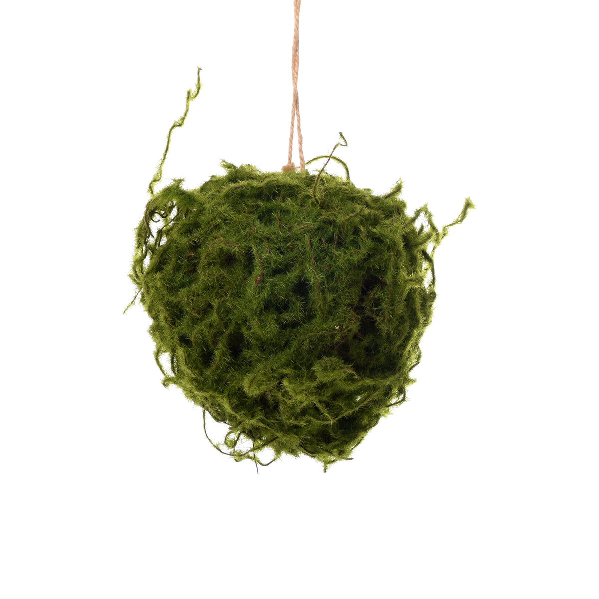 Vihreä sammal – kuivakasvikoriste, 17 cm