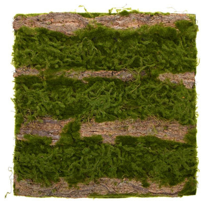 Vihreä sammal – kuivakasvikoriste, 50 cm