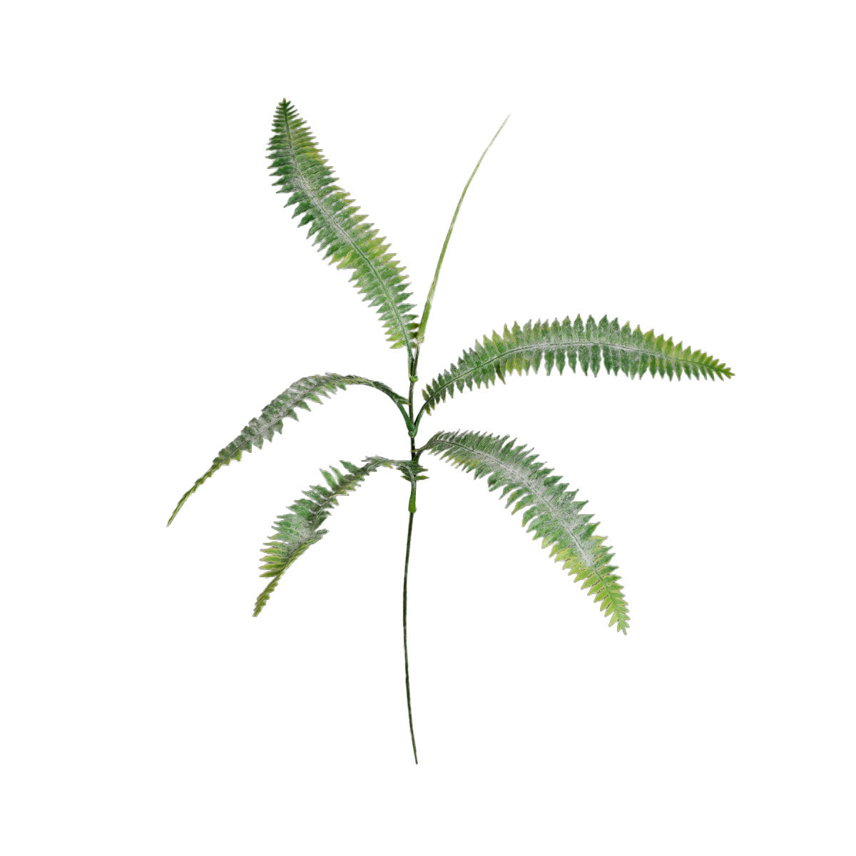 Vihreä saniainen – koristeoksa, 43 cm