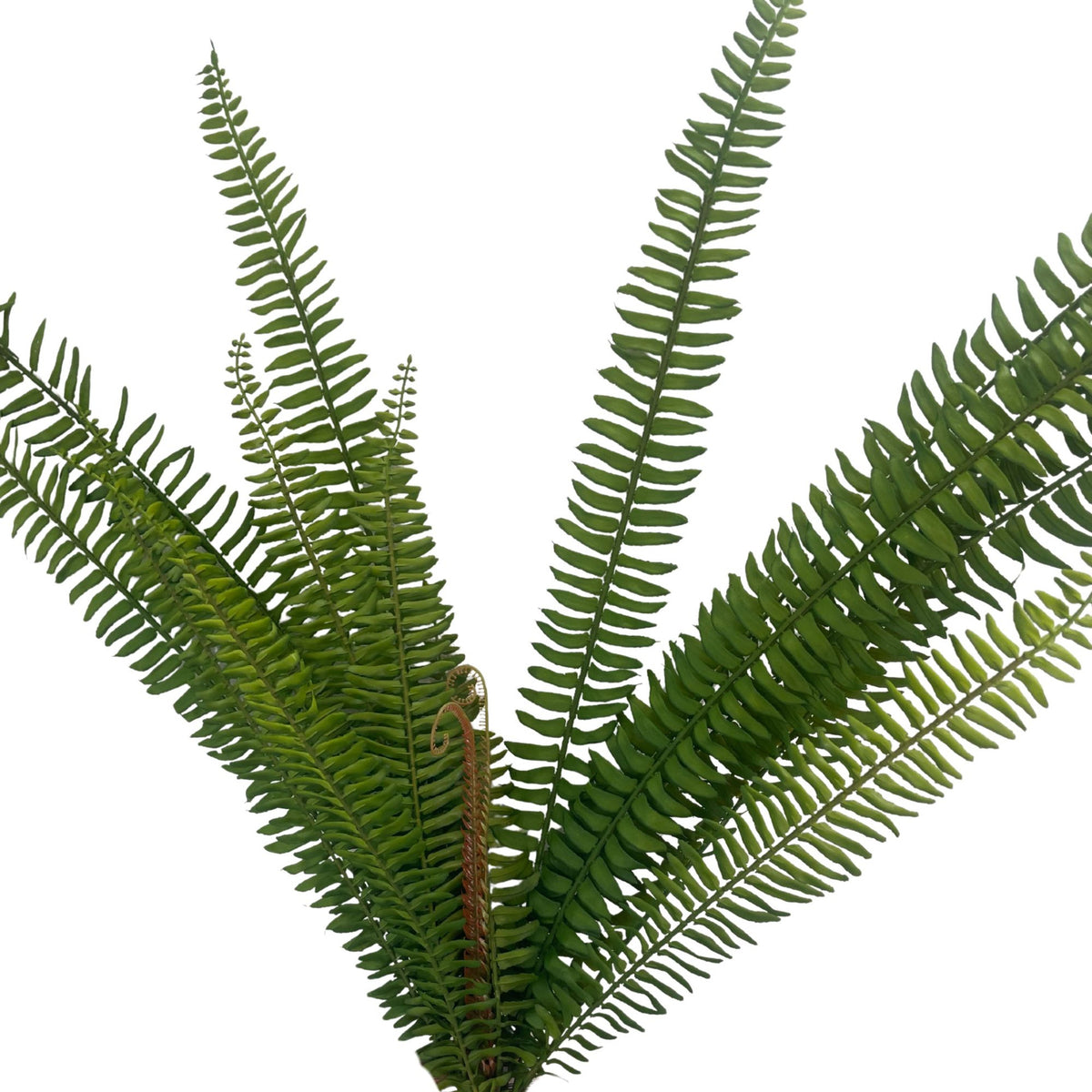 Vihreä saniainen – tekokukkakimppu, 92 cm