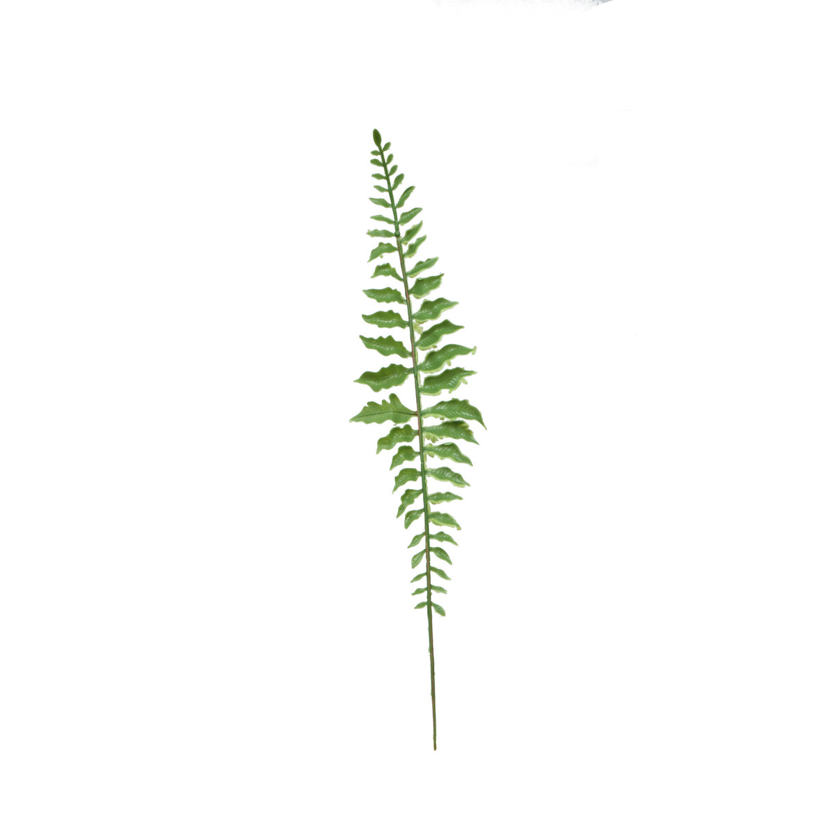Vihreä saniainen – tekolehti, 42 cm