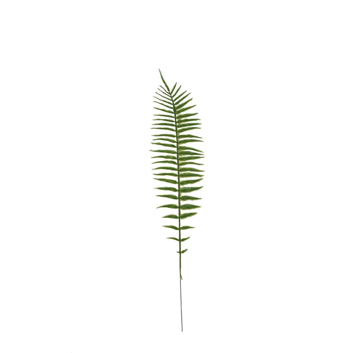 Vihreä saniainen – tekolehti, 52 cm