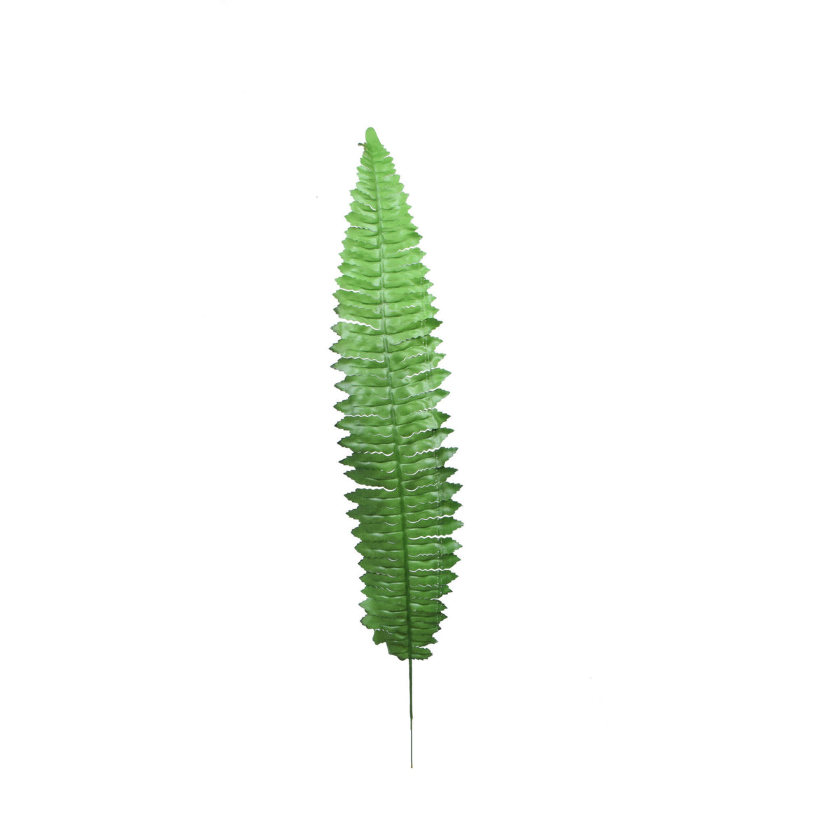 Vihreä saniainen – tekolehti, 55 cm