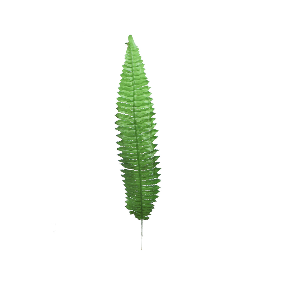 Vihreä saniainen – tekolehti, 55 cm