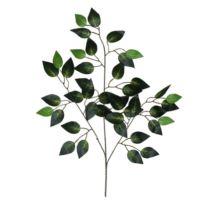 Vihreä/tumma/vihreä fiikus – koristeoksa, 62 cm