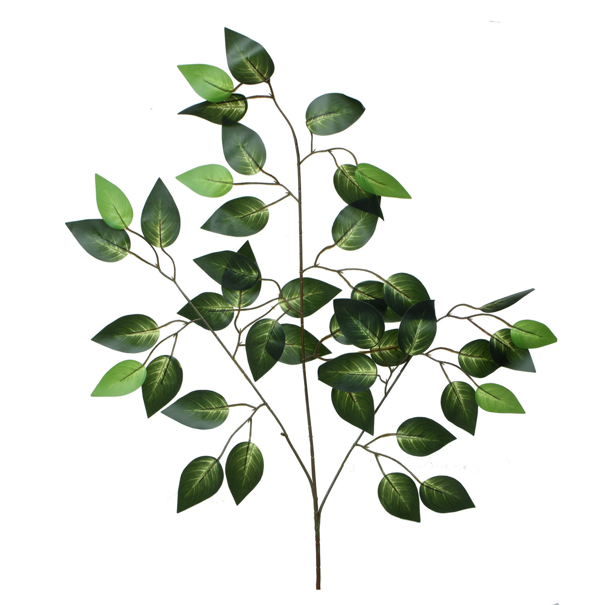 Vihreä/tumma/vihreä fiikus – koristeoksa, 62 cm