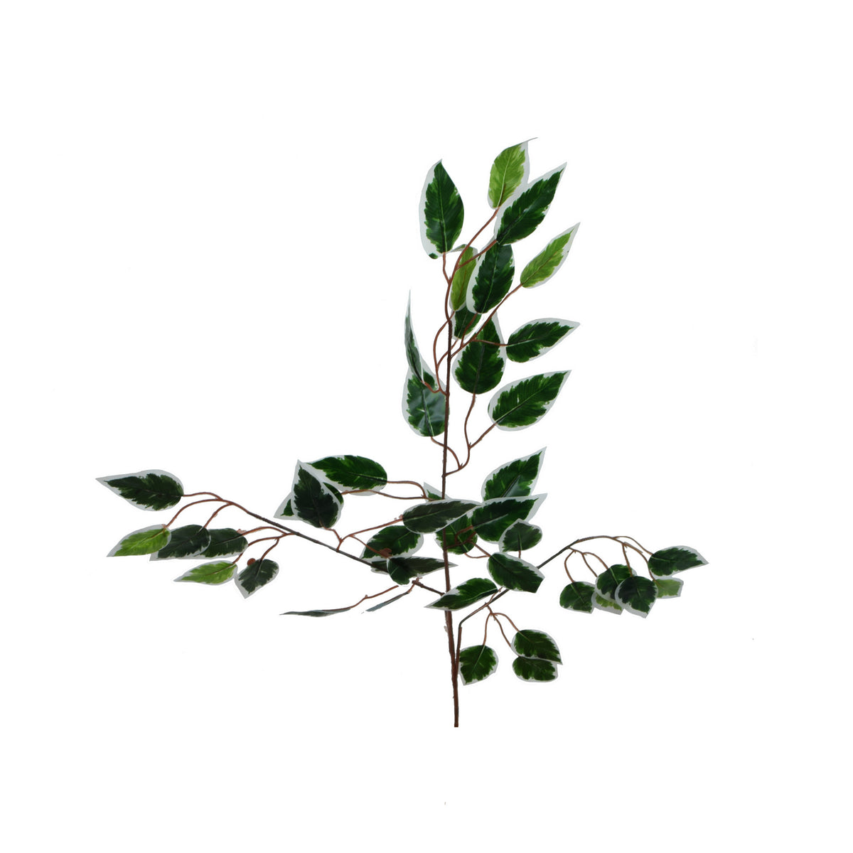 Vihreä/valkoinen fiikus – koristeoksa, 60 cm