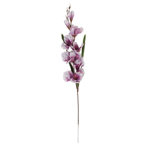 Violetti