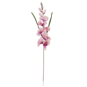 Violetti