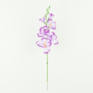Violetti
