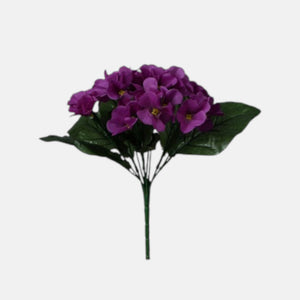 Violetti
