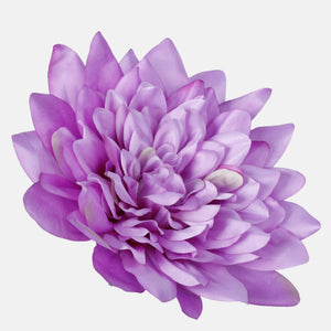 Violetti
