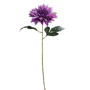 Violetti