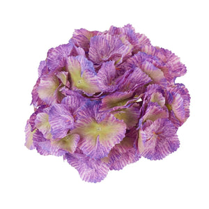 Violetti