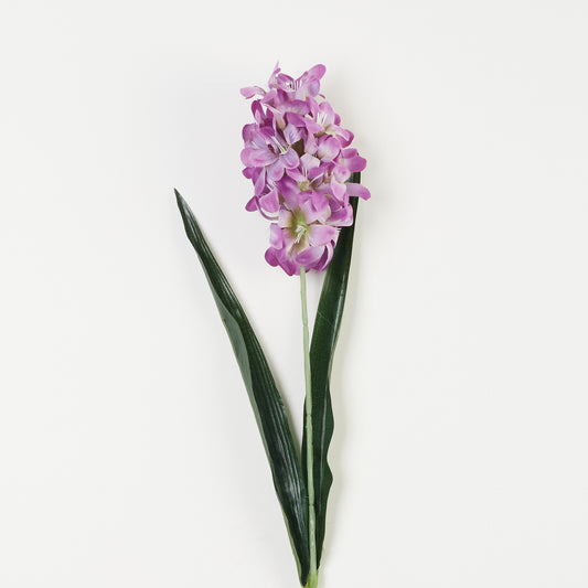 Violetti tekohyasintin kukkavarsi