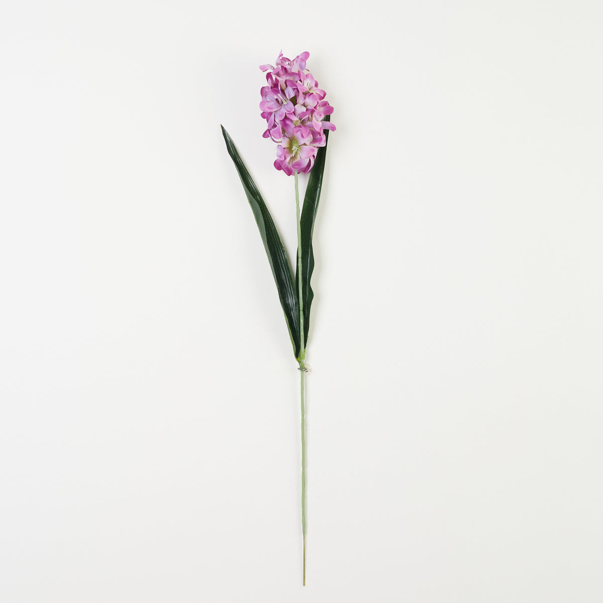 Violetti tekohyasintin kukkavarsi