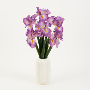 Violetti