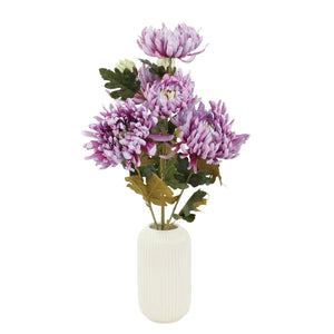 Violetti