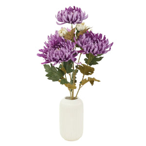Violetti