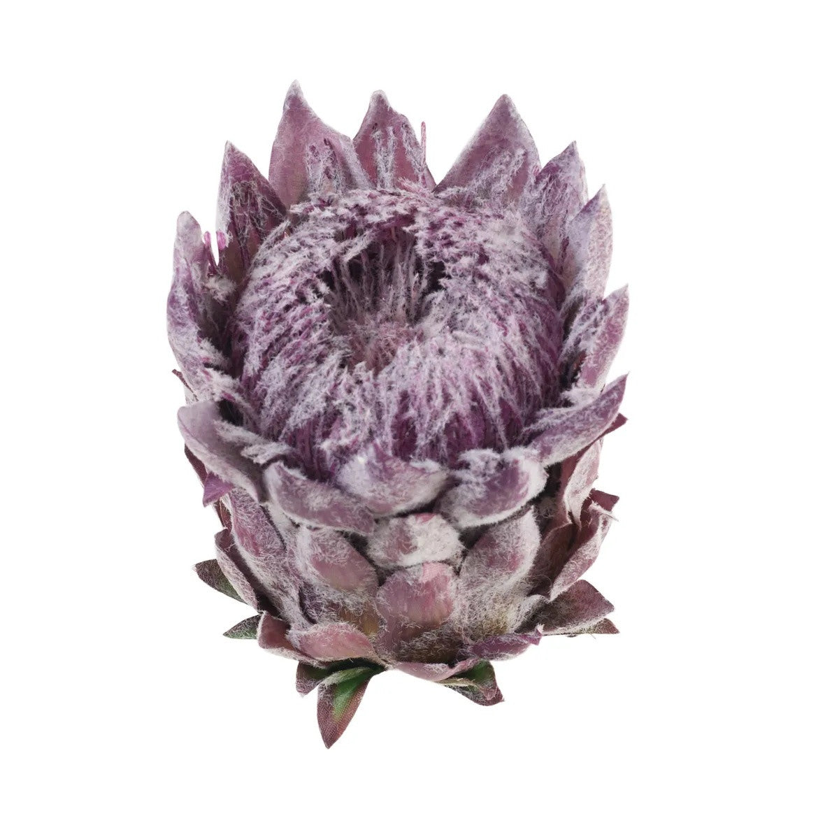 Violetti tekokukkapää, 12 cm