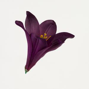 Violetti