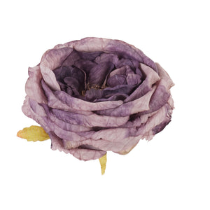 Violetti
