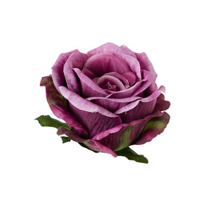 Violetti