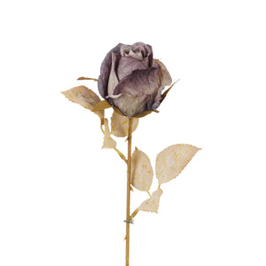 Violetti