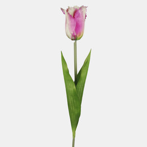 Violetti