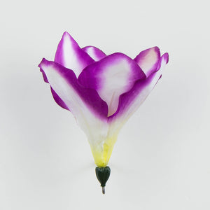 Violetti/Valkoinen/Kerma