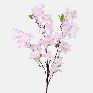 Roosa